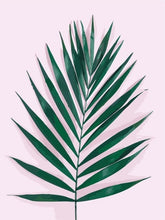 Load image into Gallery viewer, AZQSD DIY Painting By Number Plant Leaf Landscape Paint Canvas Picture Oil Painting Coloring By Numbers Hand Painted Modern